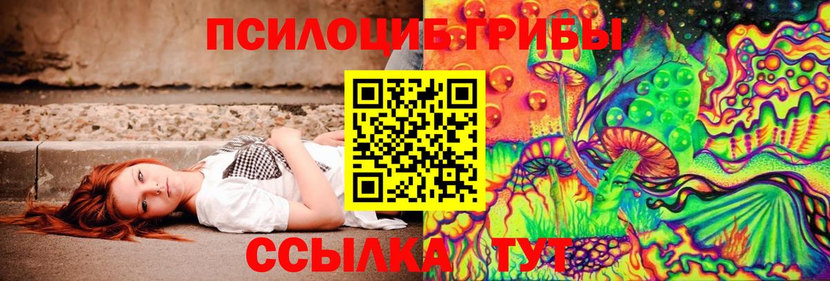 Каспийск  Псилоцибиновые грибы Psilocybine cubensis  Вход с VPN 