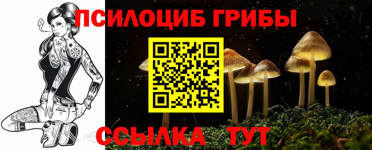 Псилоцибиновые грибы Magic Shrooms Каспийск